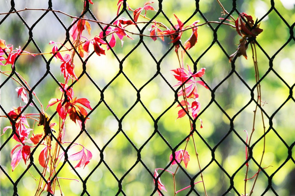 Black Stainless Steel Rope Net: The Perfect Combination of Beauty and Durability